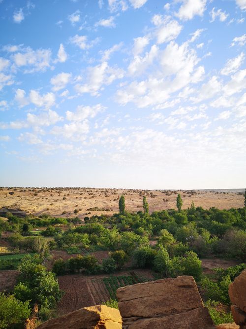 Free Lush green trees contrast with the barren desert under a sky filled with scattered clouds. Stock Photo