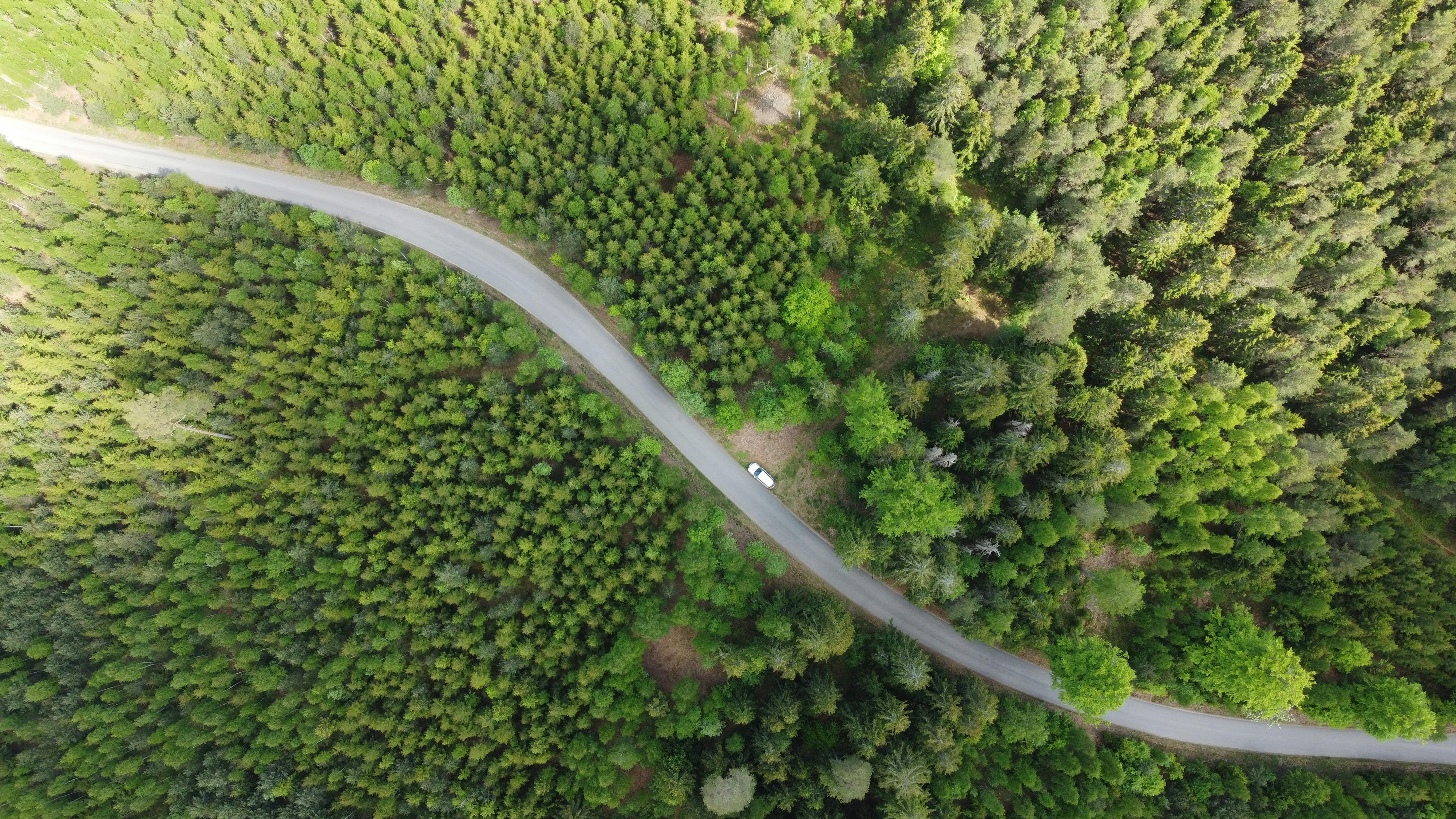 Corporate Governance: The “G” in ESG — Photo by Хитрый Хряк on Pexels