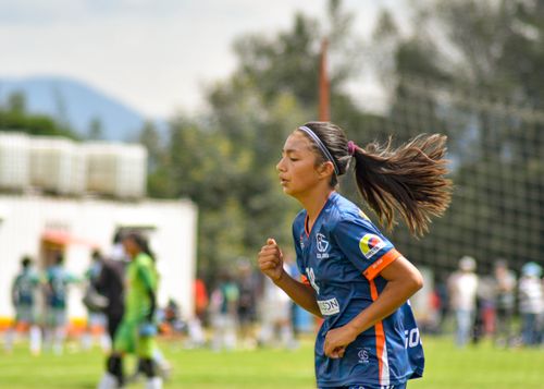 Free Action shot of a female soccer player running during a match on a sunny day. Stock Photo