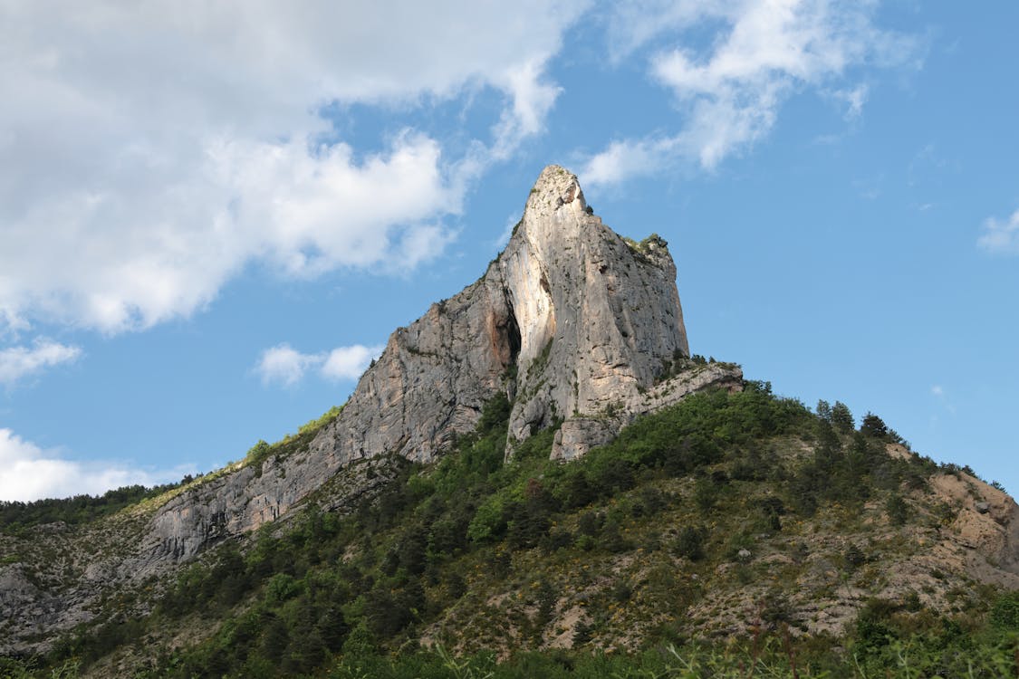 Photos gratuites de arbre, caillou, colline