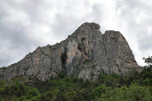 Photos gratuites de arbre, caillou, colline