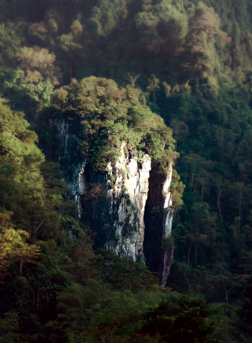 Free Breathtaking view of a cliff surrounded by dense forest, capturing the essence of untouched nature. Stock Photo