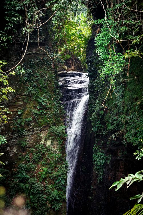 Free A breathtaking waterfall cascading through dense green foliage in a serene forest setting. Stock Photo