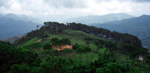 A view of a green hill with trees and mountains