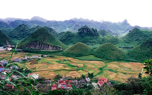 A view of a valley with rice fields and mountains