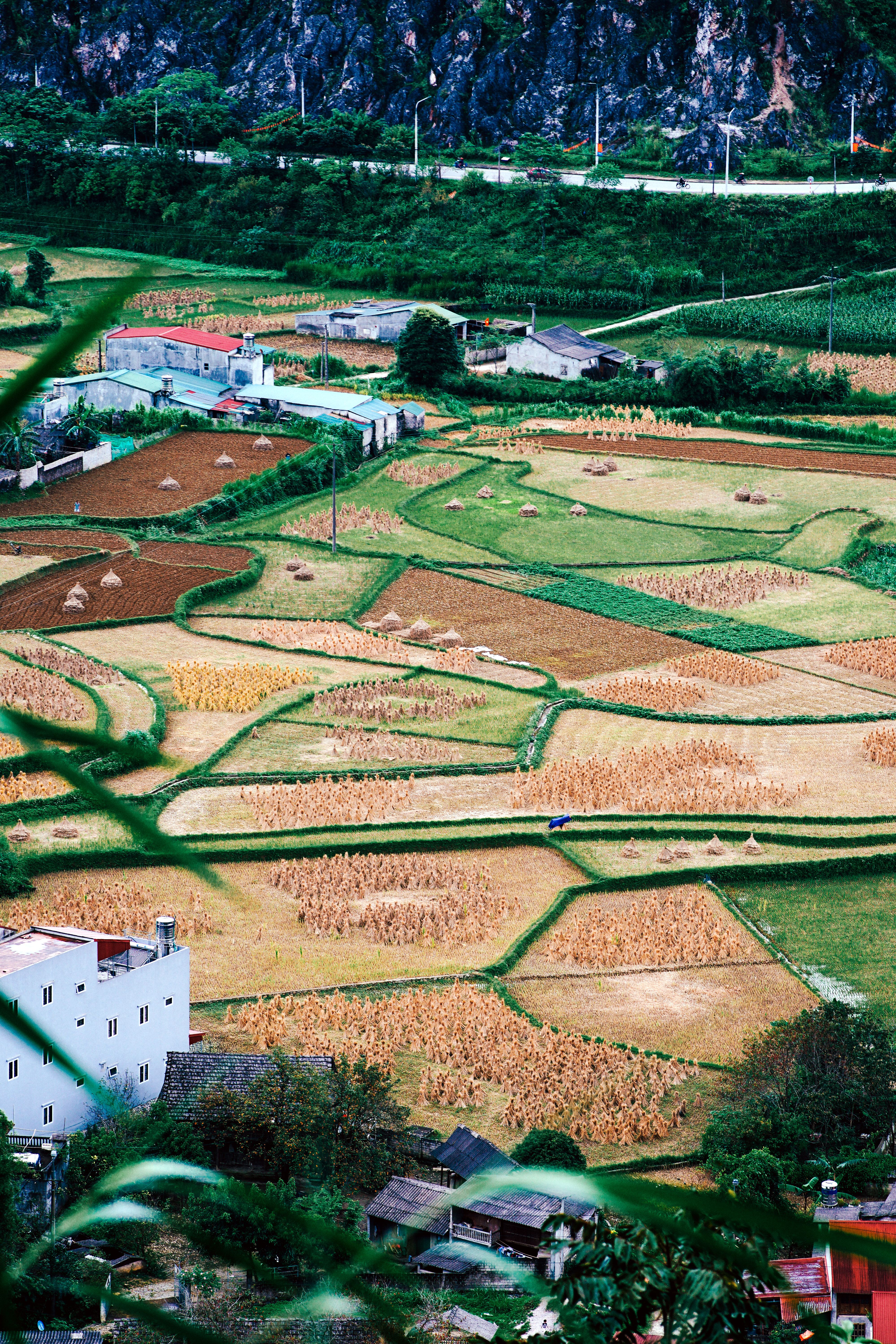 Buildings on a Field · Free Stock Photo