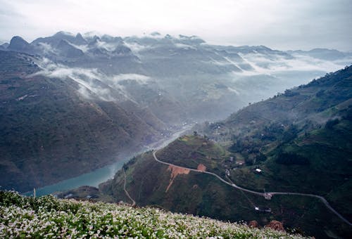 A valley with mountains and flowers on the side