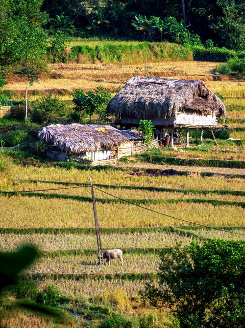 Free A scenic rural view featuring traditional straw huts and green fields in a vibrant countryside setting. Stock Photo