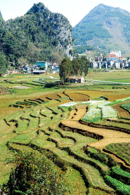 Free Discover a picturesque view of terraced farmland and mountains, showcasing rural beauty and agricultural landscape. Stock Photo