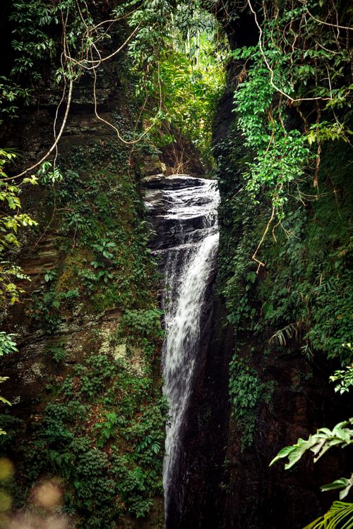 Free Stunning vertical waterfall cascading through a lush, exotic jungle setting. Stock Photo