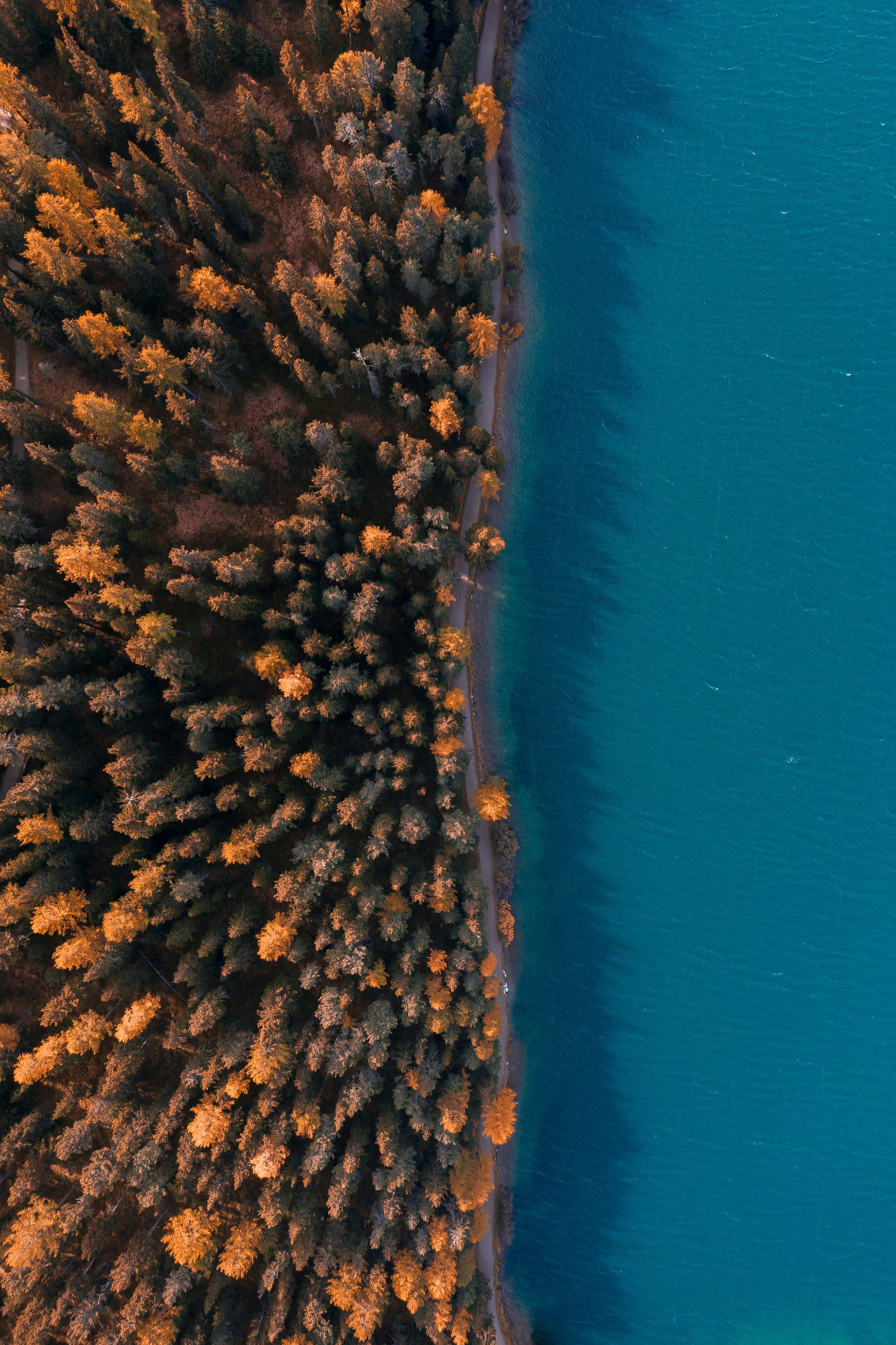 Aerial View of a Road Along a Lake Surrounded by Forest · Free Stock Photo