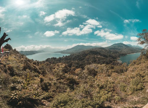 Gratis Pemandangan Indah Gunung Selama Siang Hari Foto Stok
