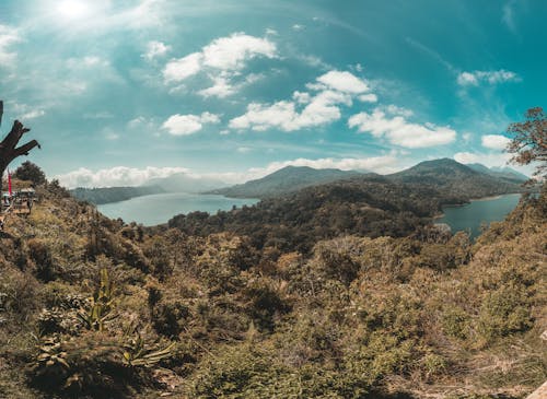 Vue Panoramique De La Montagne Pendant La Journée