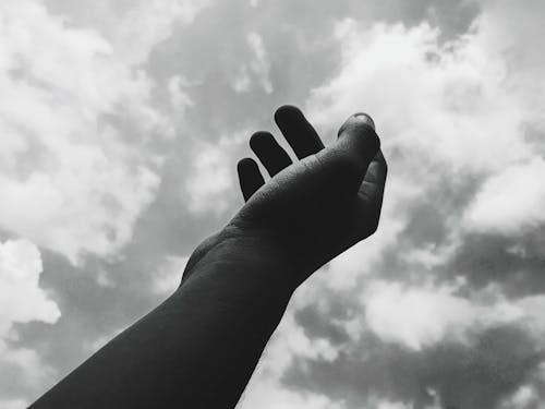 Person Holding Out Hand to the Sky
