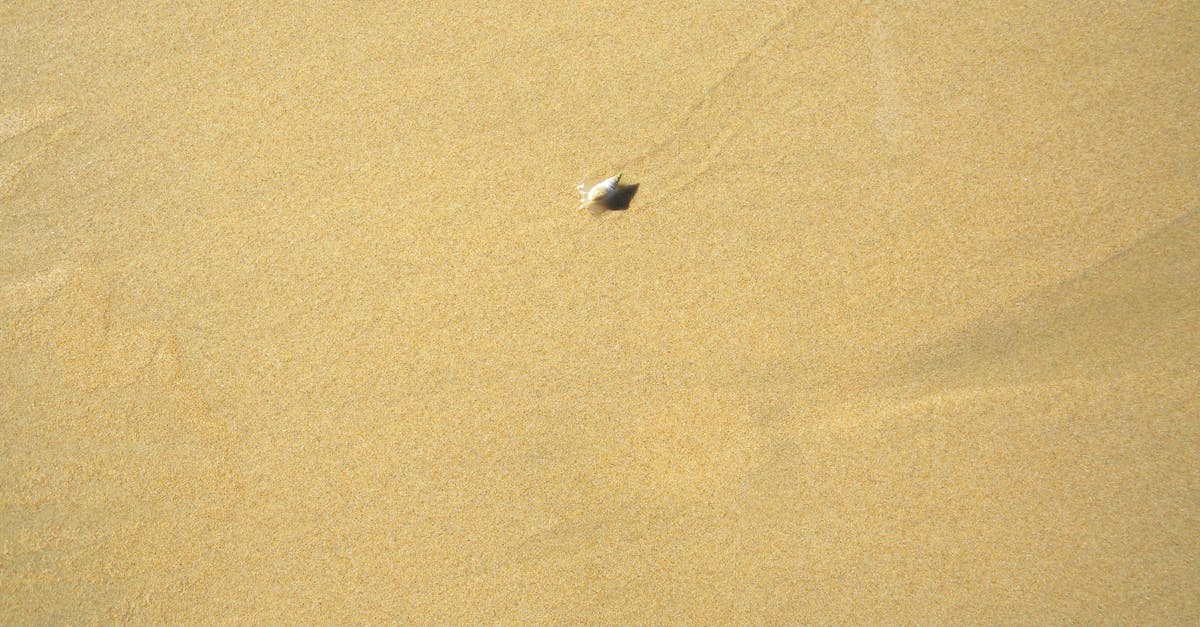 Free stock photo of alone, beach, beach background