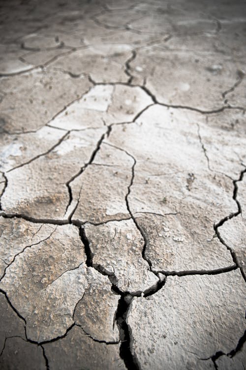 Kostenloses Stock Foto zu austrocknung, klima, klimawechsel