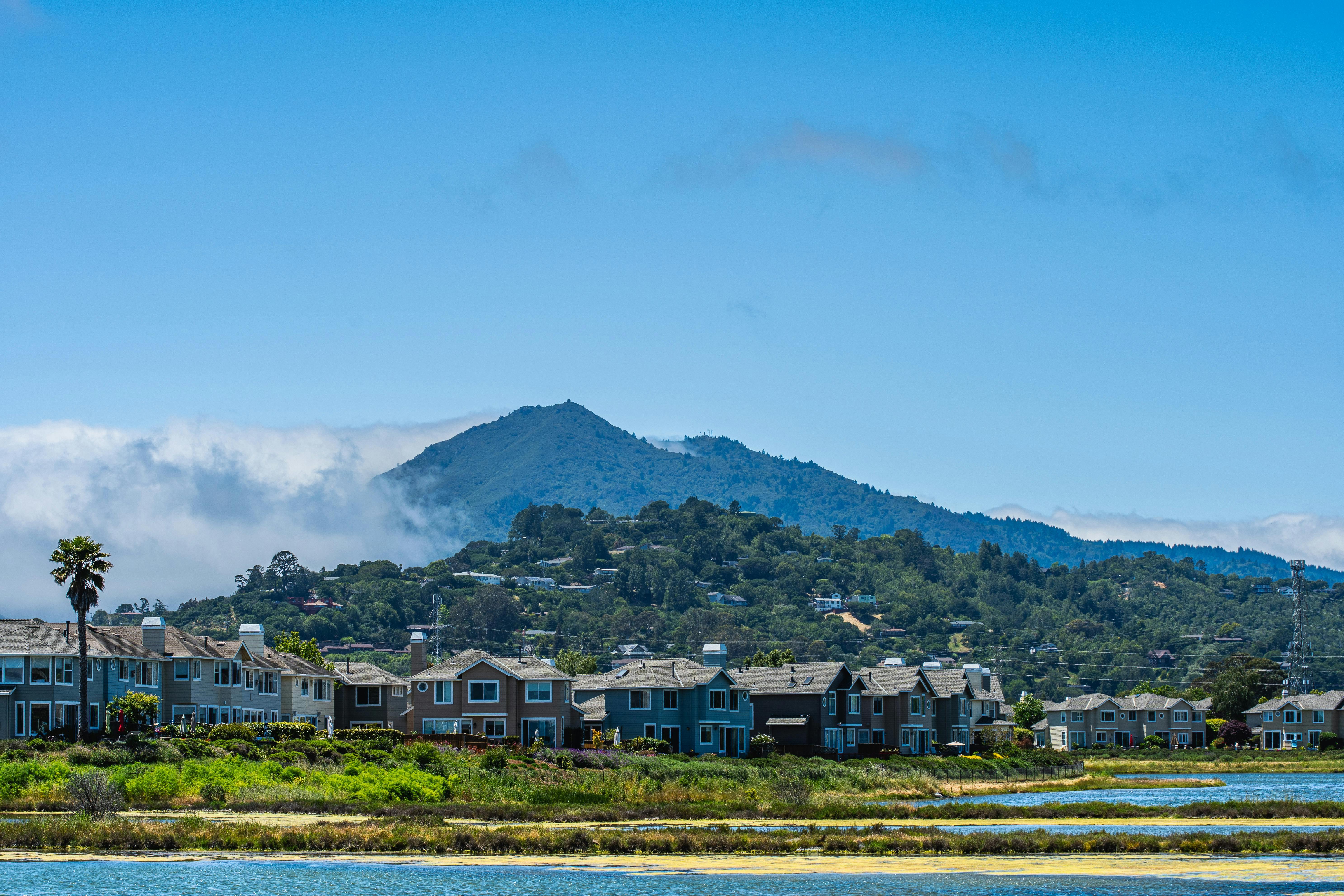 The best real estate brokers in the Bay Area — Photo by Robert So on Pexels