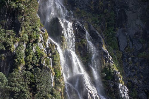 Foto stok gratis air, air terjun, cerah