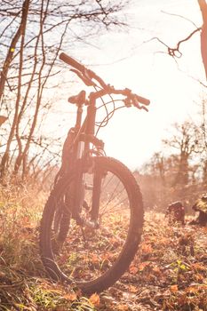 Mountain bike resting in a sunlit autumn forest with bright leaves.