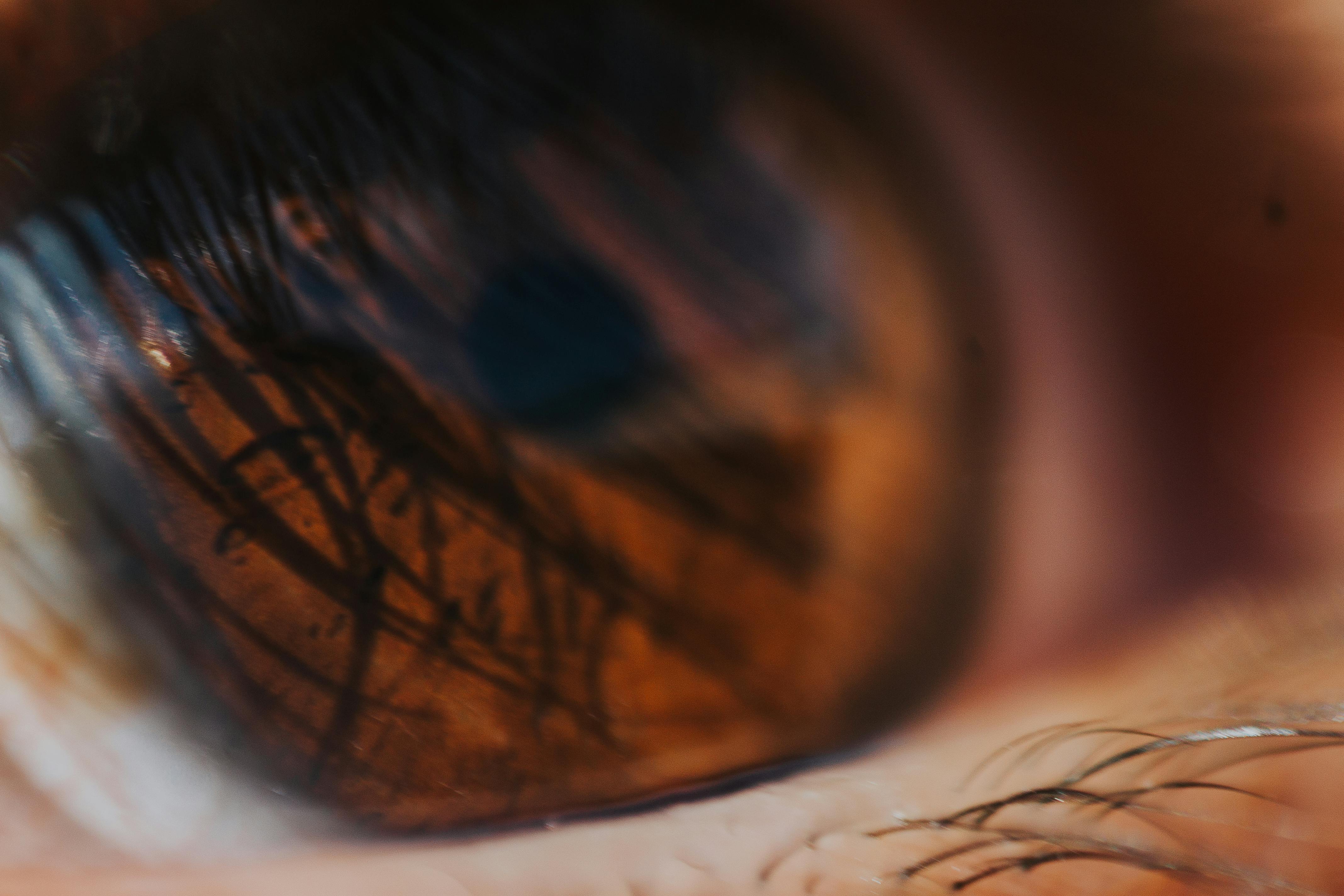 Free stock photo of beautiful eyes, brown eyes, closed eyes