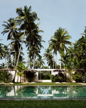Serene tropical resort with palm trees surrounding a tranquil swimming pool.