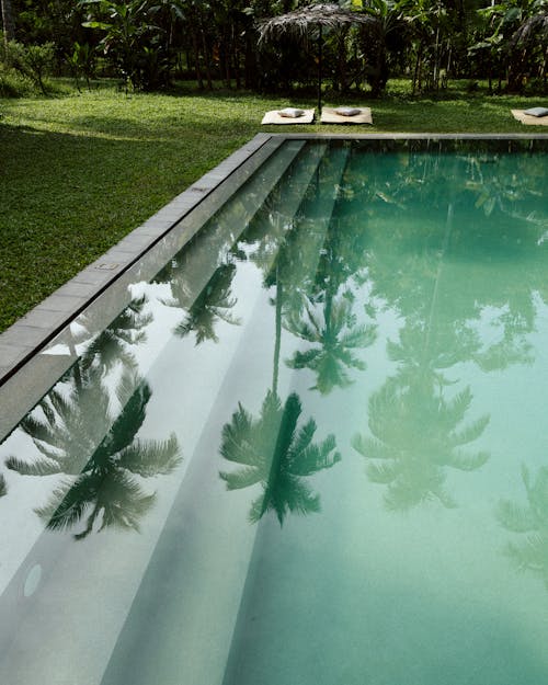 Reflection of Palm Trees in Swimming Pool