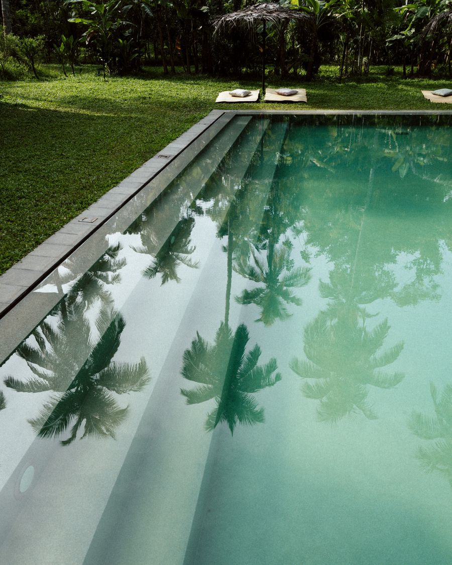 Pool reflecting palm trees