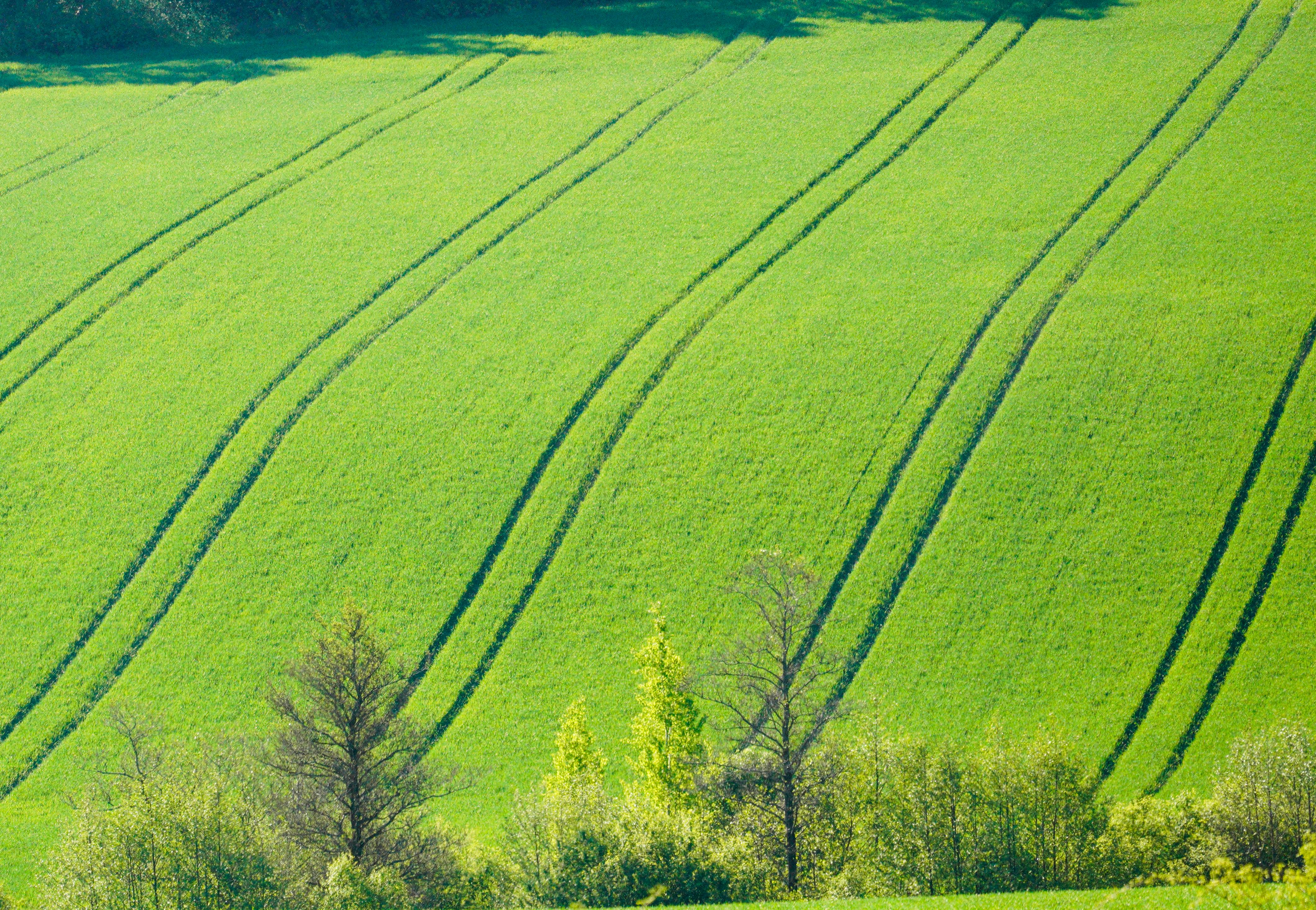 The green mile: charting the bumpy road to sustainable urban mobility — Photo by Damir K . on Pexels