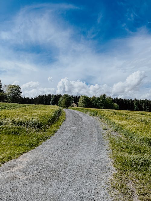 Kostenloses Stock Foto zu abenteuer, asphalt, außerorts