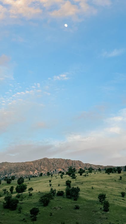 A photo of a green hill with a blue sky