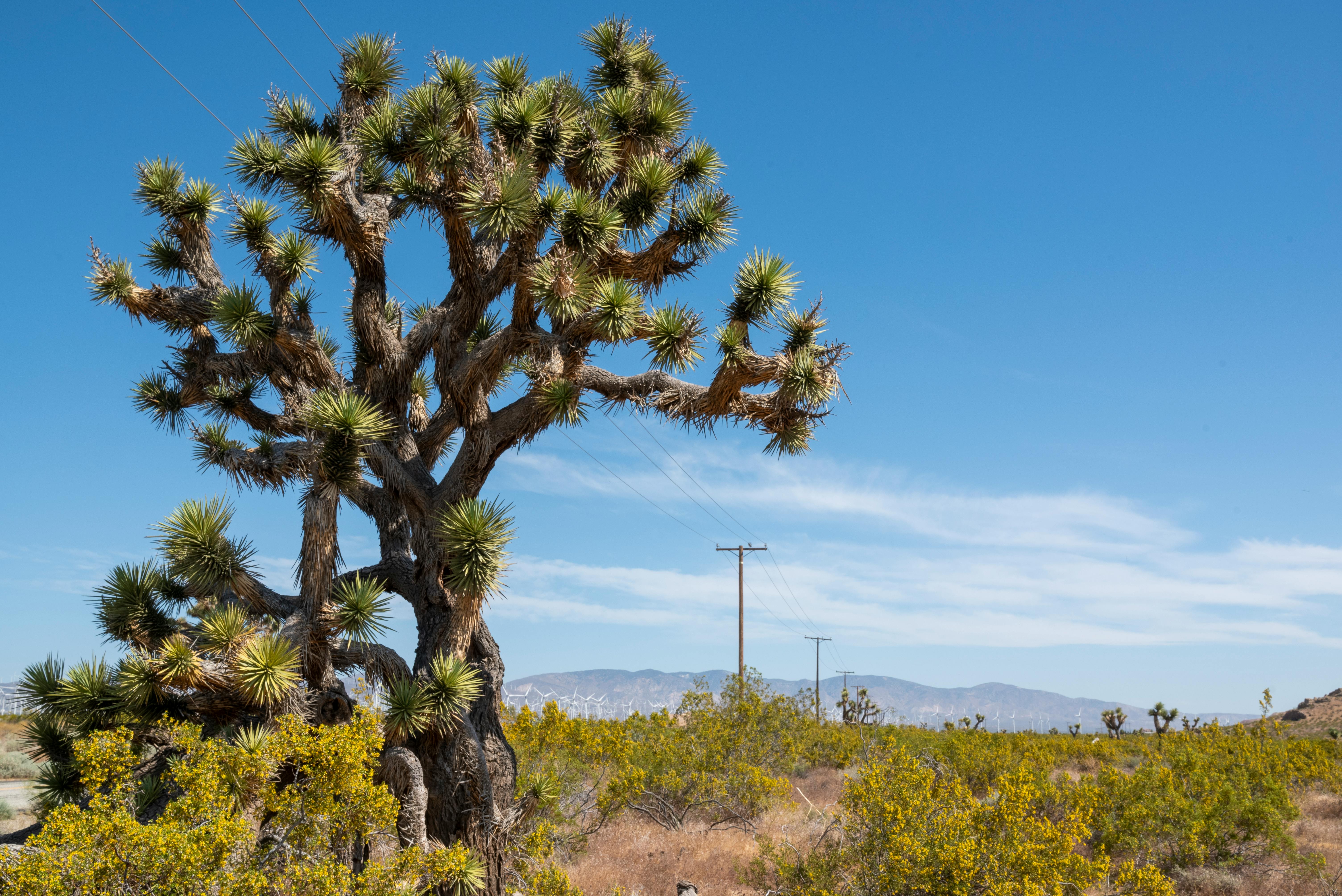 Reefer City Photos, Download The BEST Free Reefer City Stock Photos ...