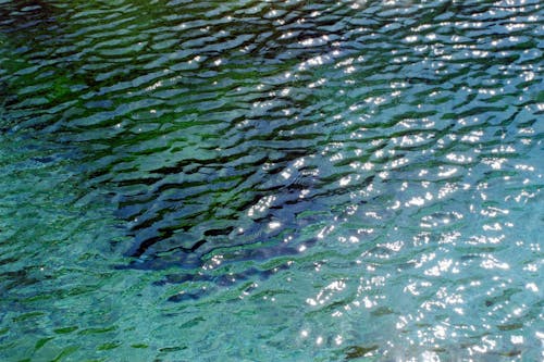 H2O, クリア, さざ波の無料の写真素材