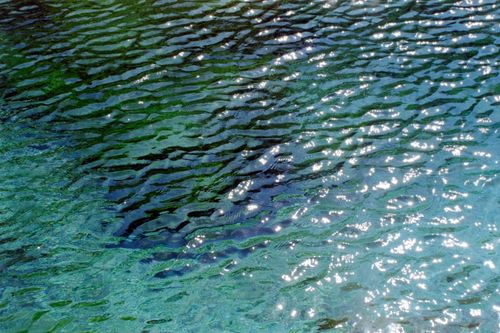 Free Sunlight reflecting on rippling water creates a mesmerizing and tranquil pattern. Stock Photo