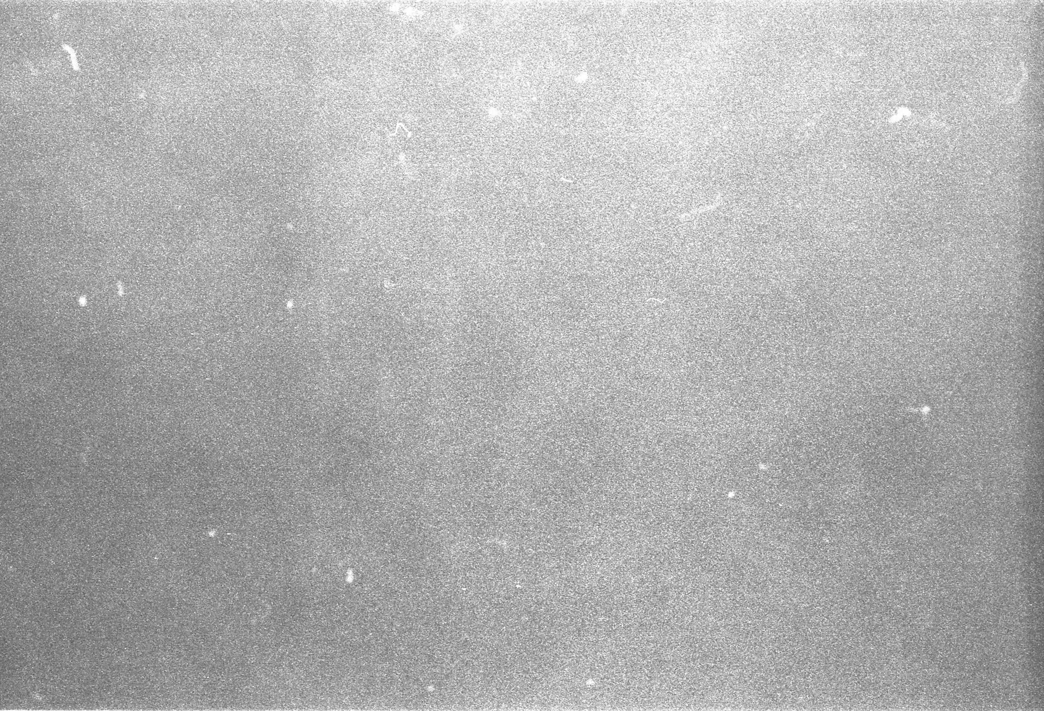 Film Texture Film Grain Texture Old Photo Texture | Images and Photos