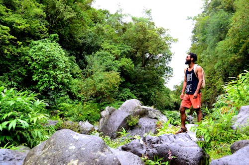 無料 木の近くの岩の上に立っている男の写真 写真素材