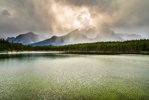 Základová fotografie zdarma na téma @ venku, Alberta, banff