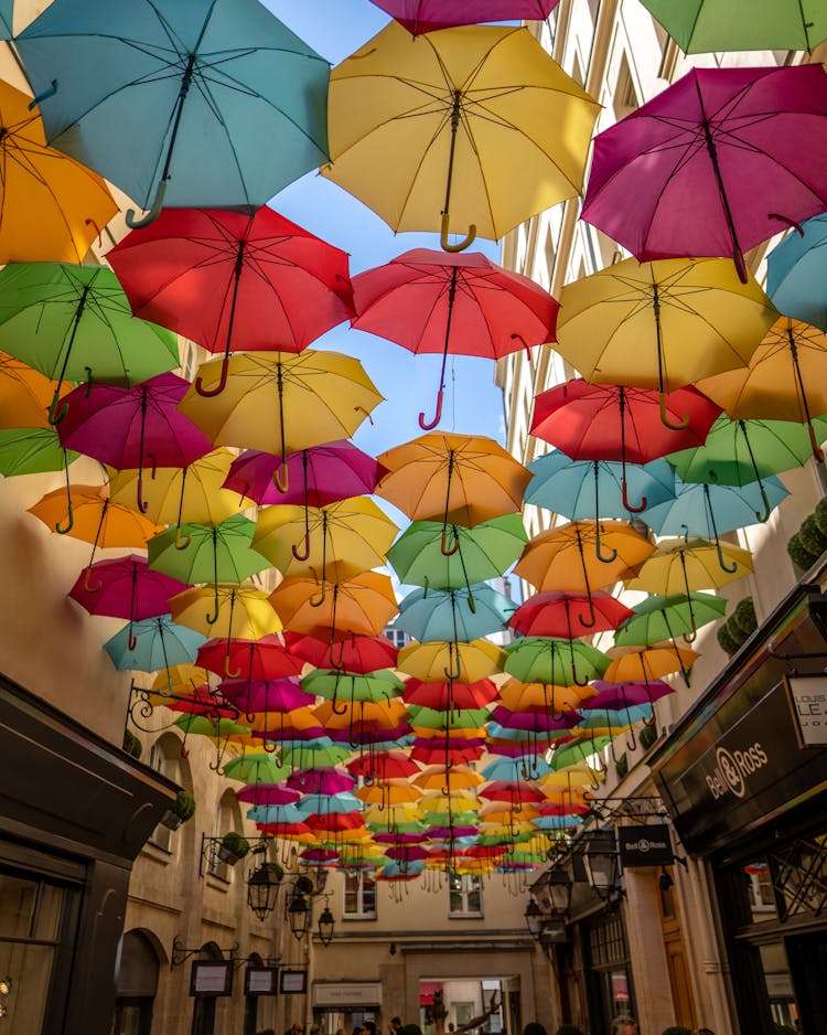 Assorted Colour Umbrellas