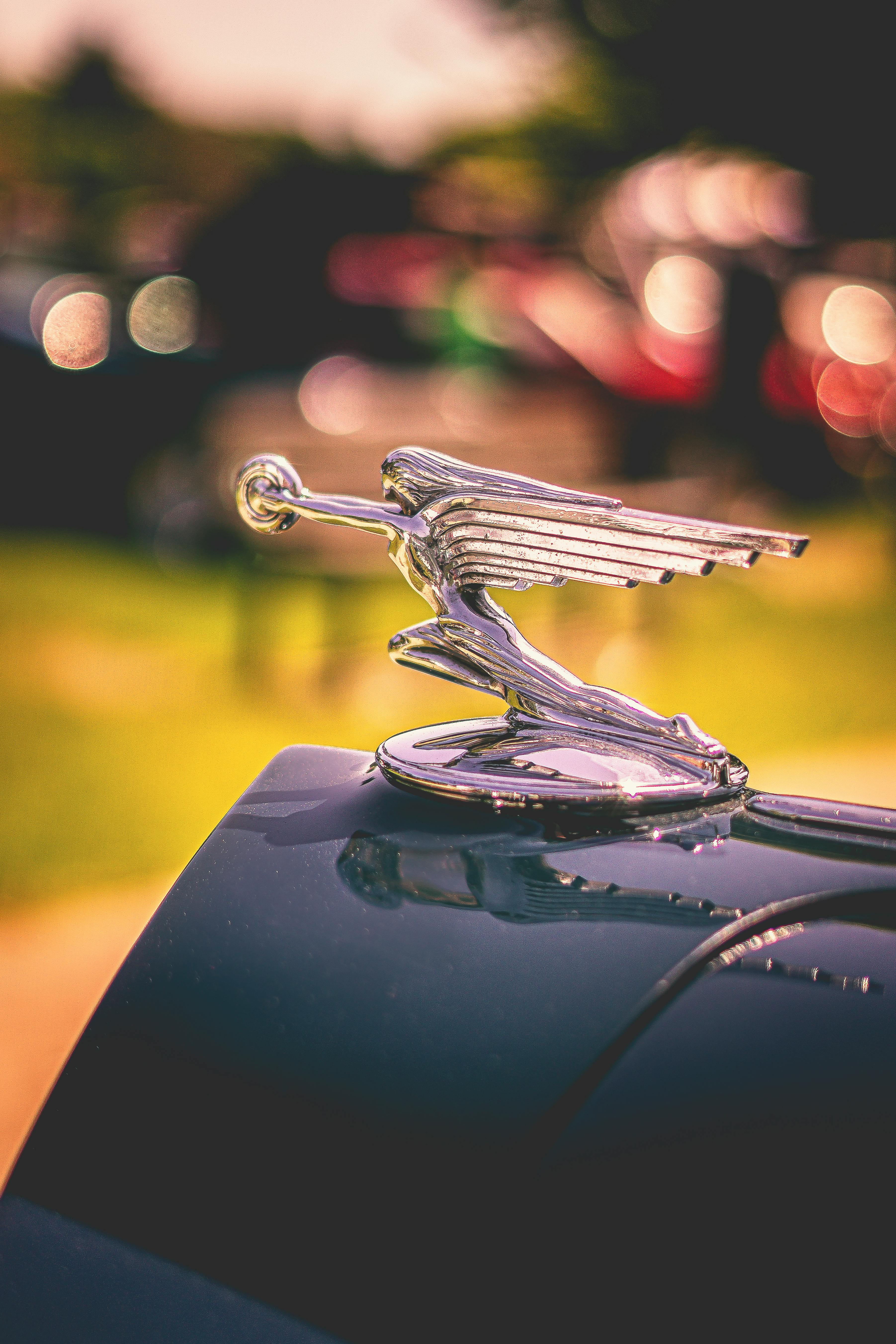 Free stock photo of automobile, classic car, hood