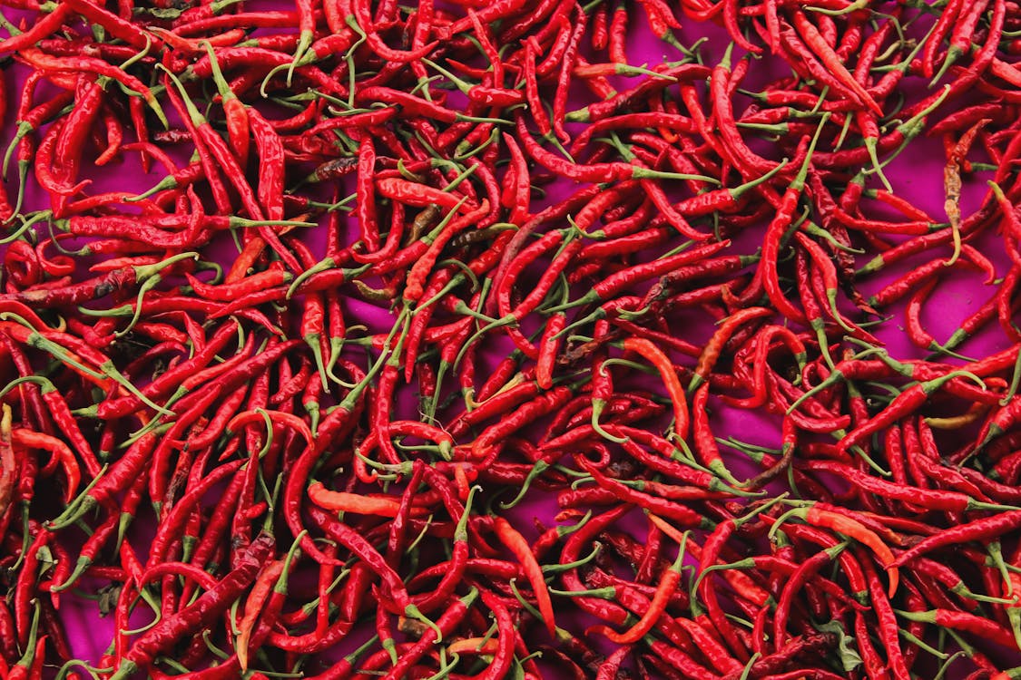 Free stock photo of chilly, chilly texture, red chilly