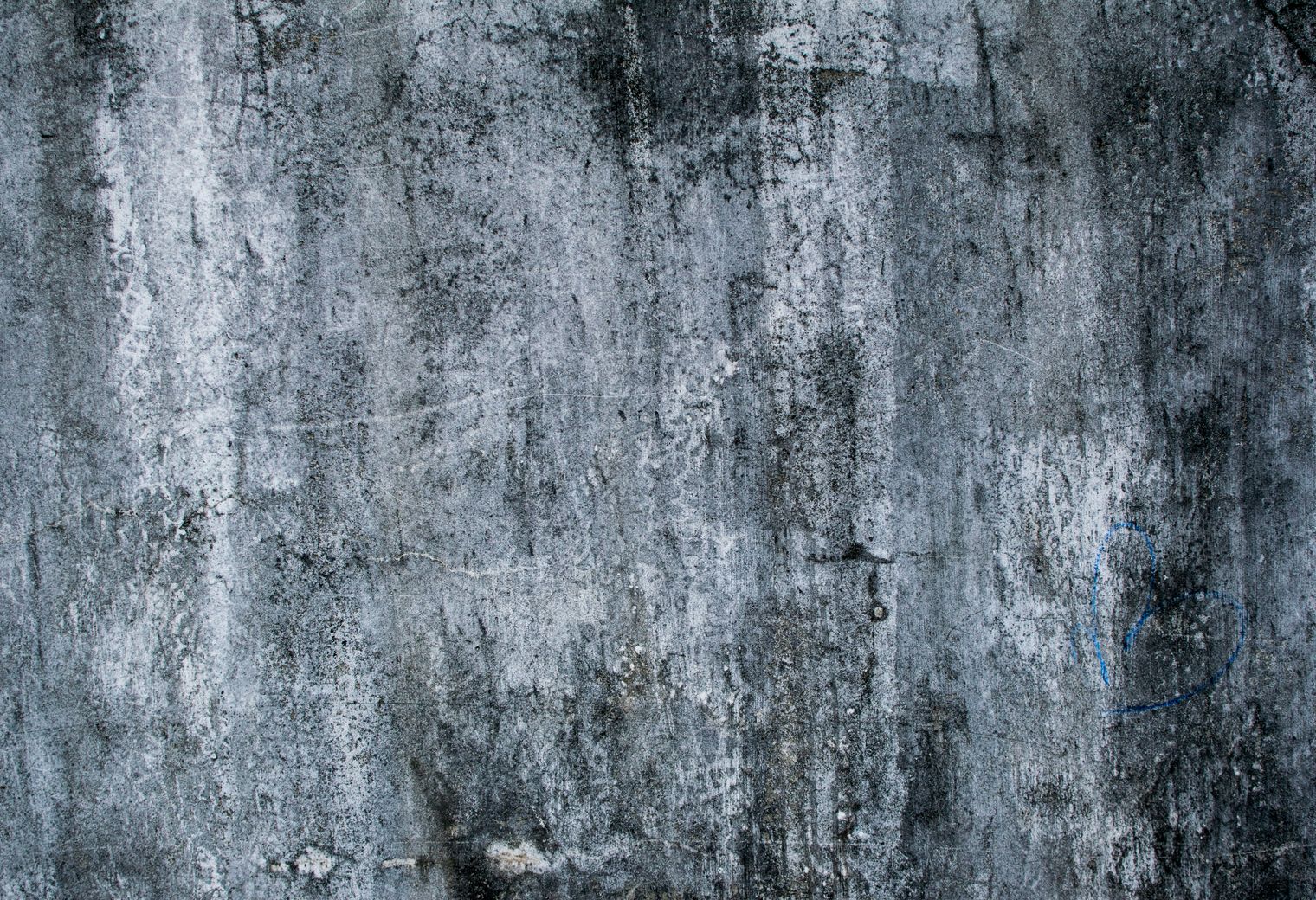 Plastering and Skimming in Bethnal Green — quality trade paint going on in two coats