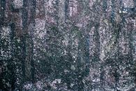 特写镜头展示了带有苔藓和泥土纹理的混凝土墙，呈现出复古而粗糙的外观