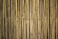 纹理竹栅栏的特写视图呈现出自然而质朴的设计元素