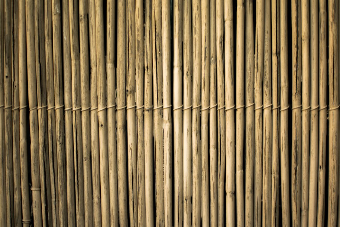 Bambú Marrón