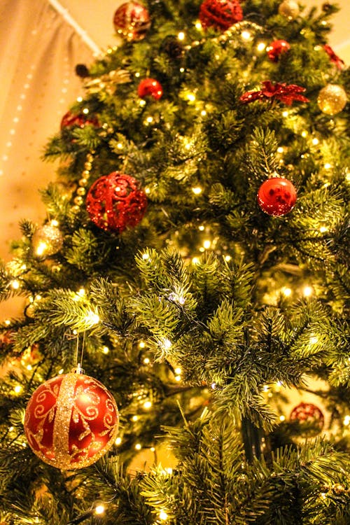 Free Baubles Hanged on Christmas Tree Stock Photo