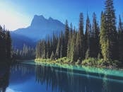 蔚蓝的天空下，宁静的山间湖泊被高大的松树环绕