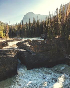 山间森林中，美丽的河流急流场景非常适合自然爱好者
