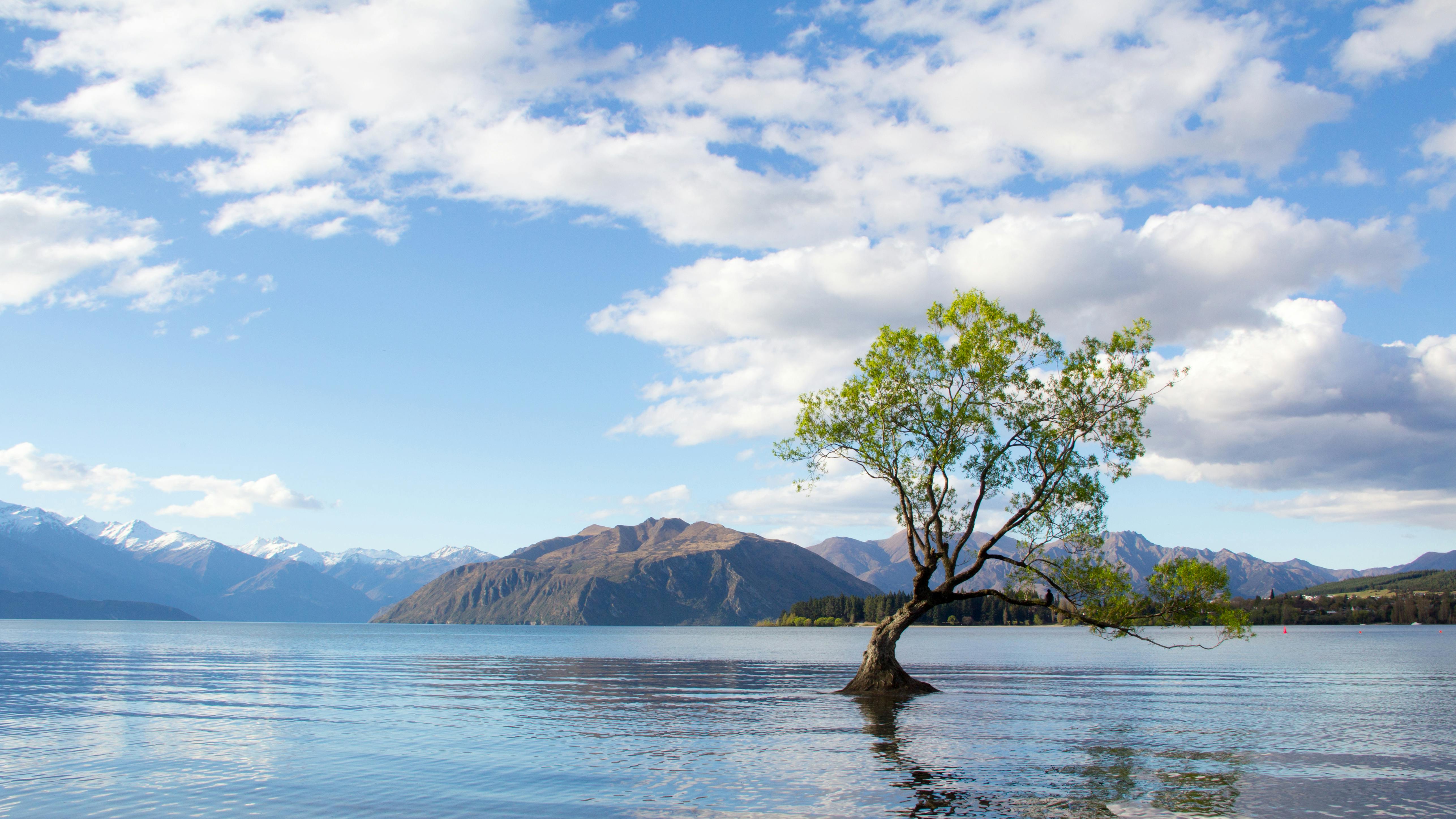 Wallpaper New Zealand, river, mountains, flowers, clouds, 4k, Nature #16208