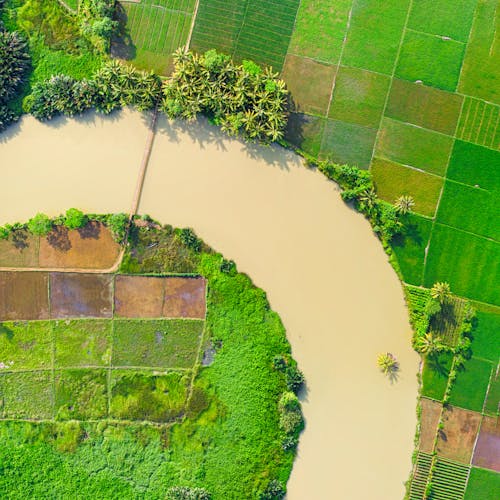 Top View Photo of River Near Farmland