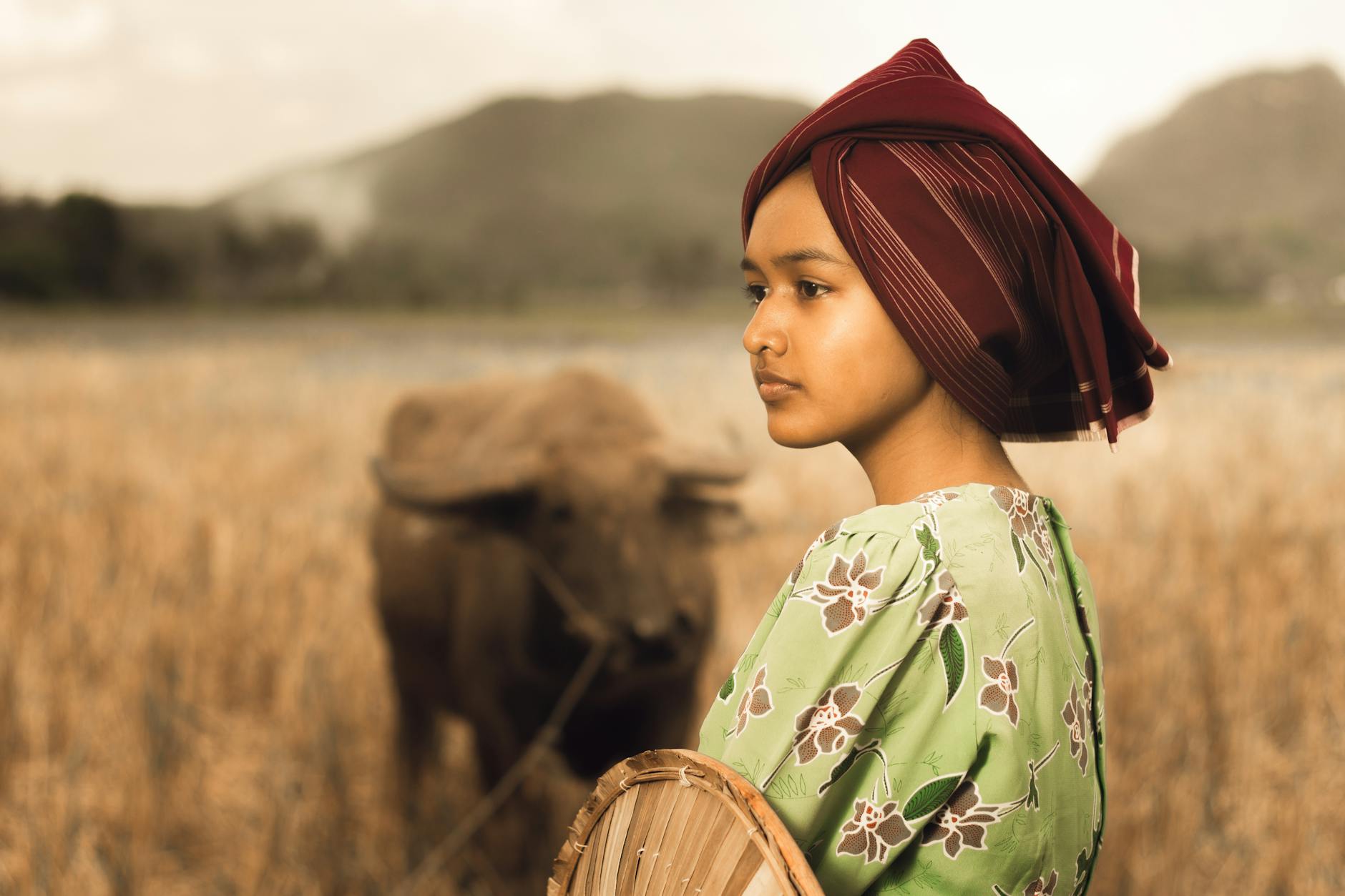 https://www.pexels.com/photo/close-up-photo-of-woman-wearing-headscarf-2464147/