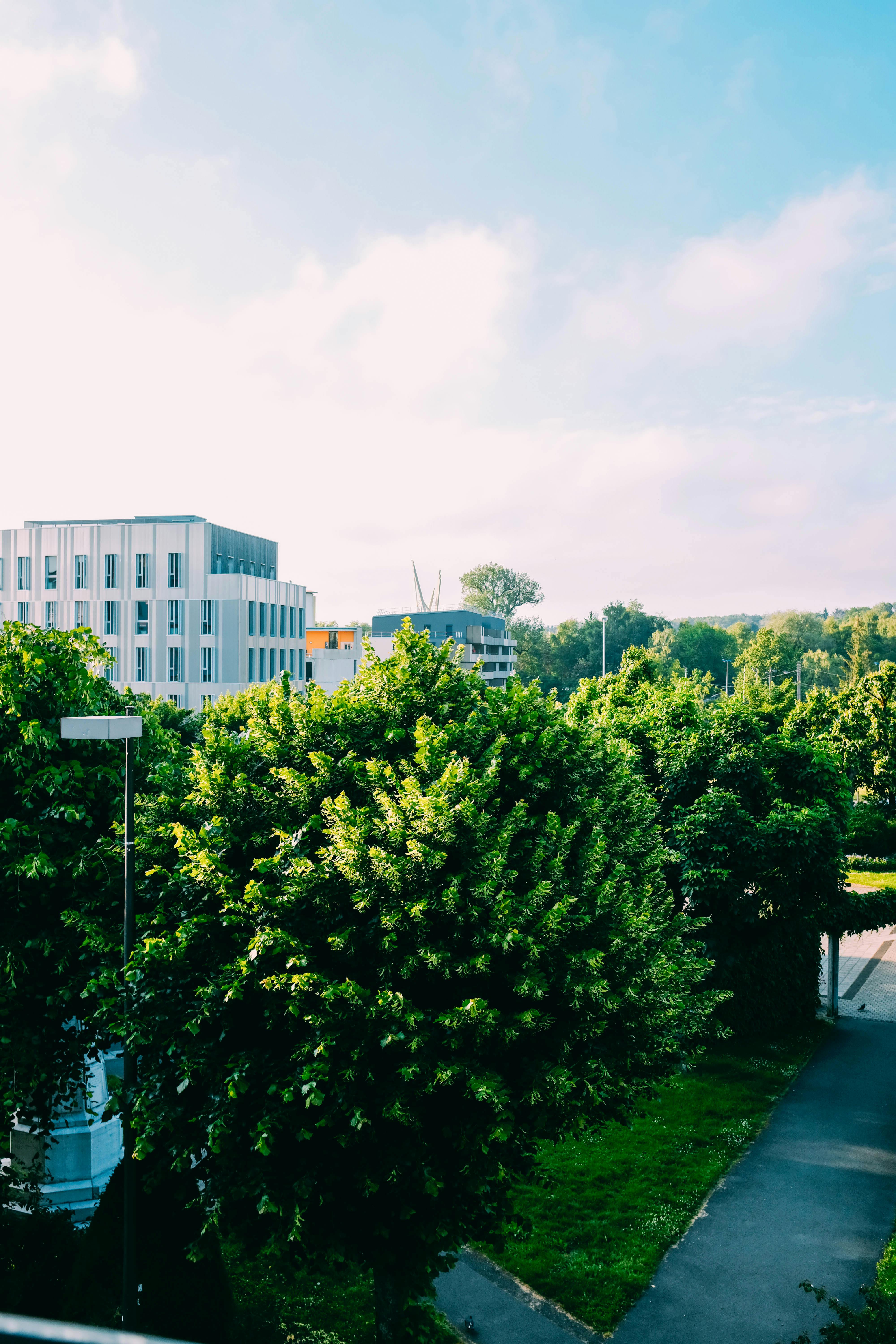 城市公园里阳光明媚，绿树成荫，现代建筑与清澈的蓝天相映成趣